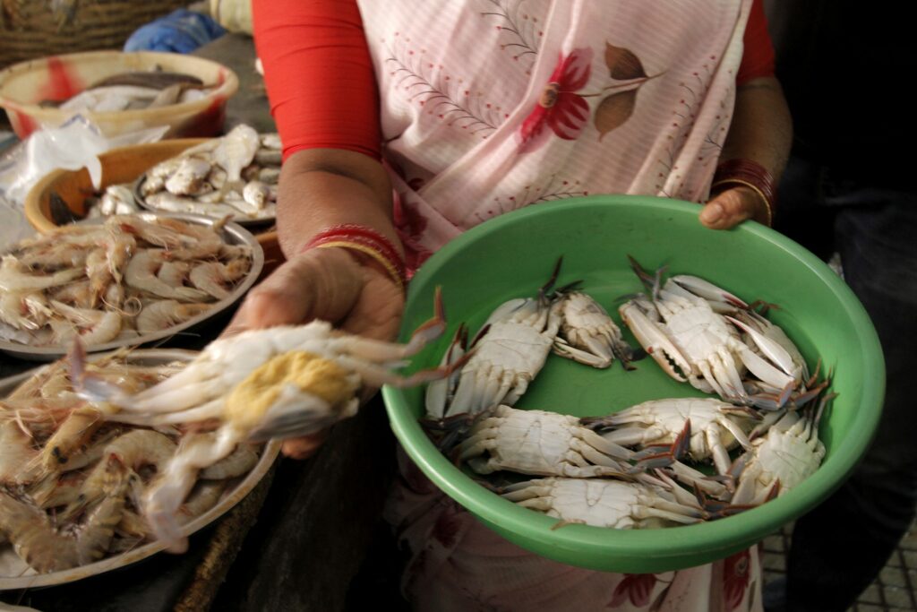 Gravid or pregnant crabs fetch higher prices in the market. The researchers haven’t yet found any breeding data on crabs, so they aren’t included in their recommendations.